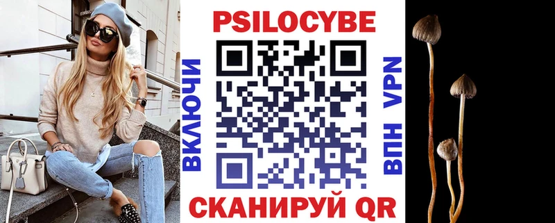 цена наркотик  Ардон  Галлюциногенные грибы Psilocybine cubensis 