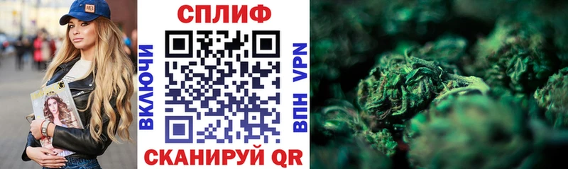 где можно купить наркотик  Ардон  Бошки Шишки White Widow 